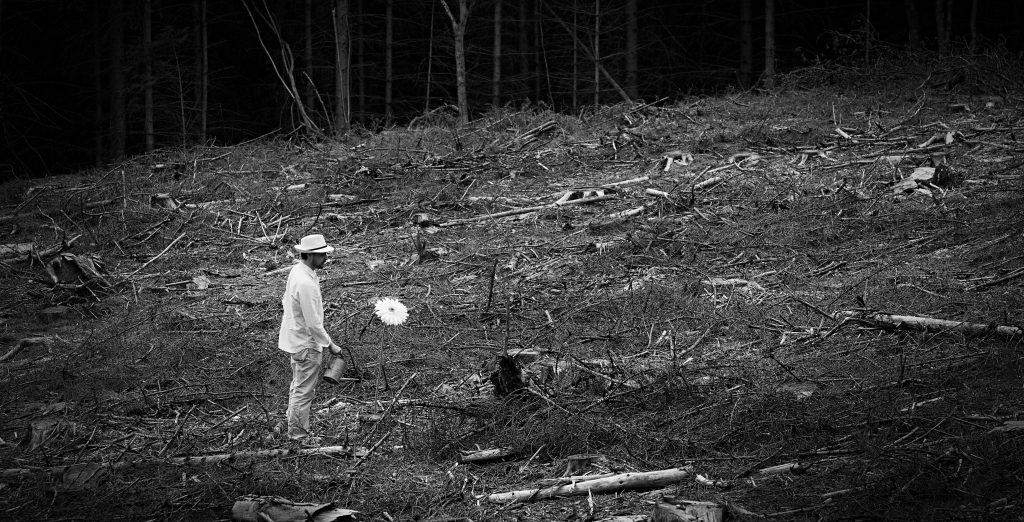 Man with Hat - A flower