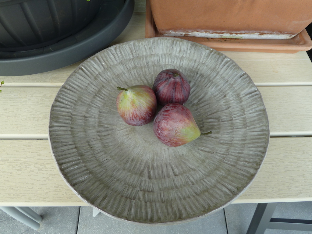 Renata Sandini, No 424 : Coupe à fruits ronde en céramique 30cm