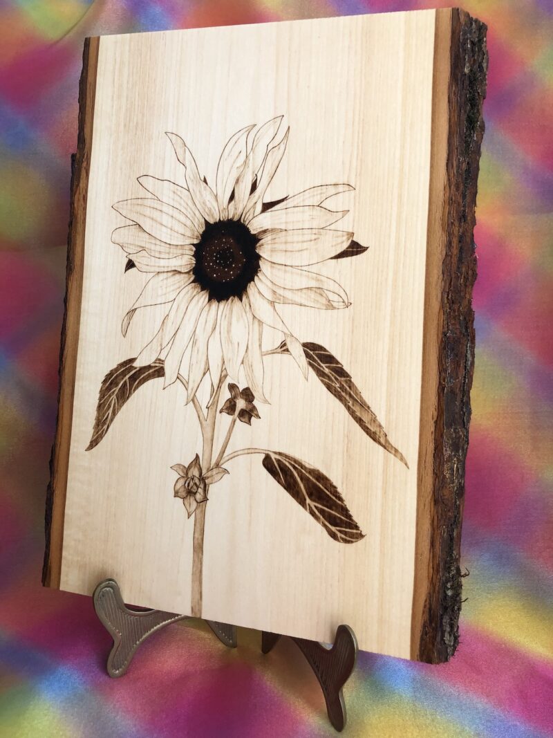 sunflower-wood-pyrography